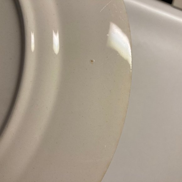 Vintage Dinner Plates (2) 9 Inches with Pink & Blue Flowers / Roses - Picture 12 of 16